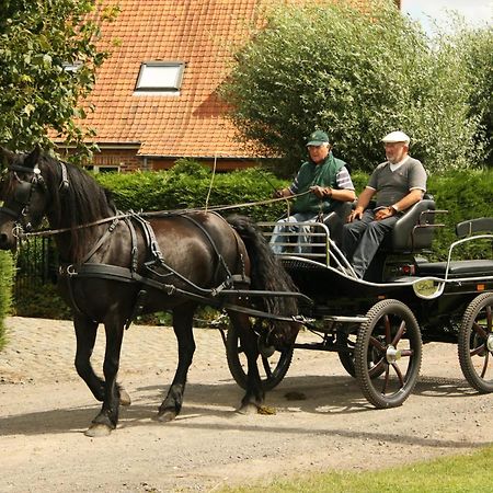 B&B De Klaproos Merkem Zewnętrze zdjęcie